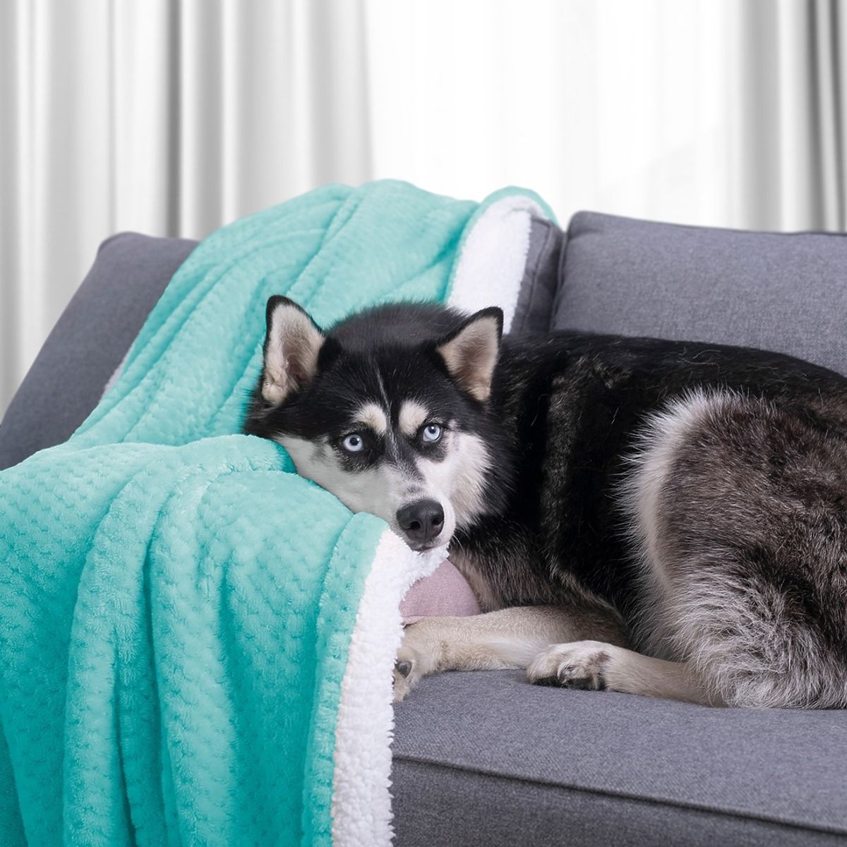 Coperta SHLEEPY colore turchese jacquard in rilievo stile classico 130x180