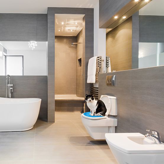 Adattatore per toilette per gatti NILS blu