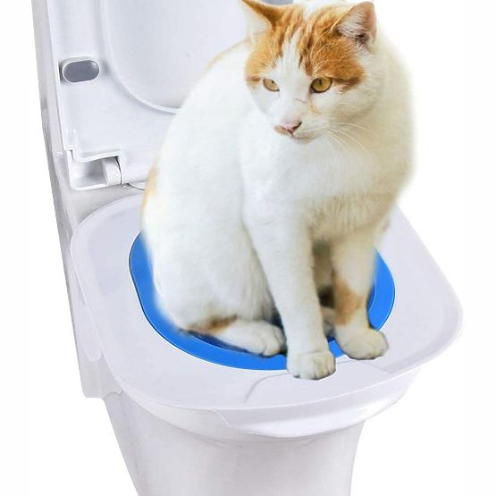 Adattatore per toilette per gatti NILS blu