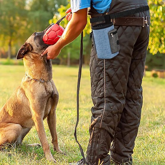 Borsa per snack per cani MAILO blu