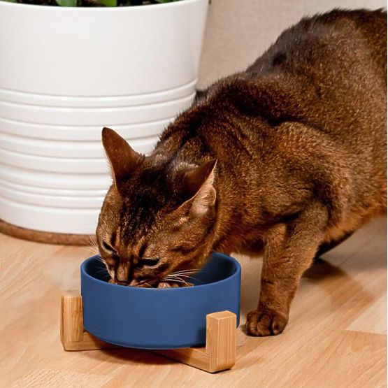 Ciotola in ceramica per cane o gatto blu PJ-033