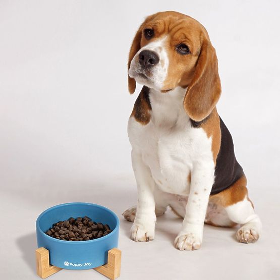 Ciotola in ceramica per cane o gatto blu PJ-033