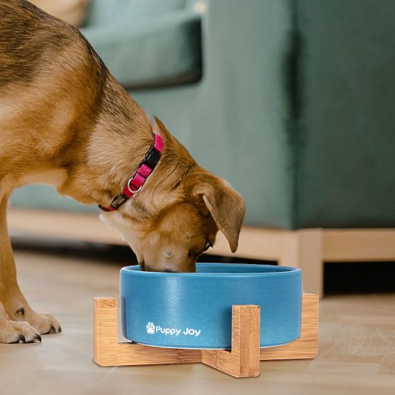 Ciotola in ceramica per cane o gatto blu PJ-033