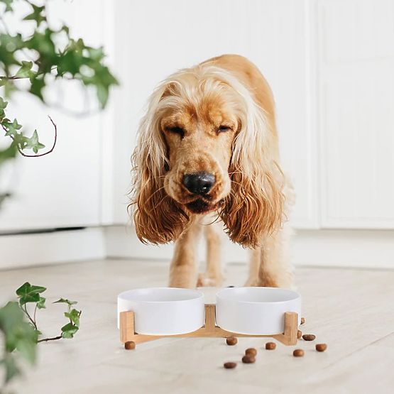 CIOTOLA PER CIBO E ACQUA PER ANIMALI BIANCA 331579