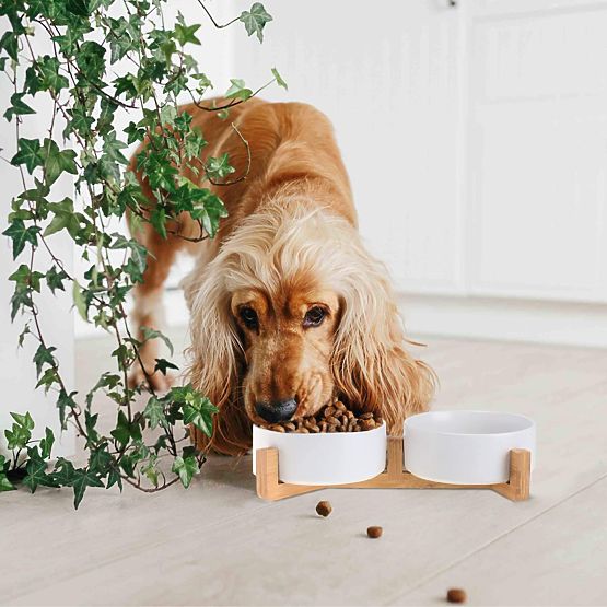 CIOTOLA PER CIBO E ACQUA PER ANIMALI BIANCA 331579