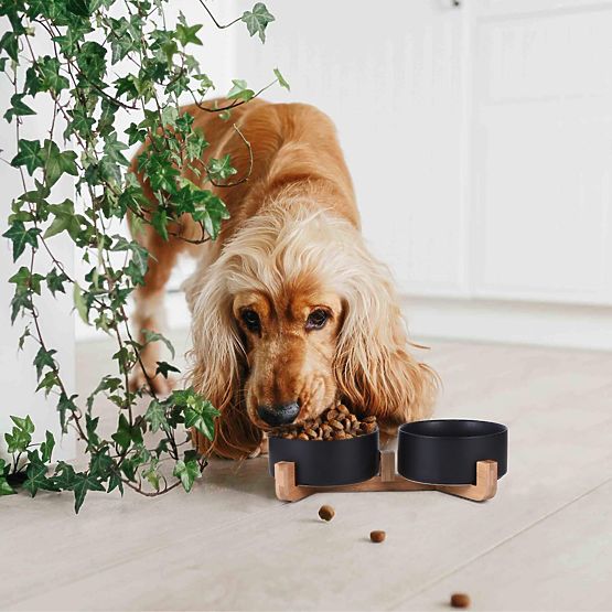 CIOTOLA PER CIBO E ACQUA PER ANIMALI NERA 331579