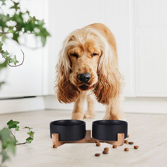 CIOTOLA PER CIBO E ACQUA PER ANIMALI NERA 331579