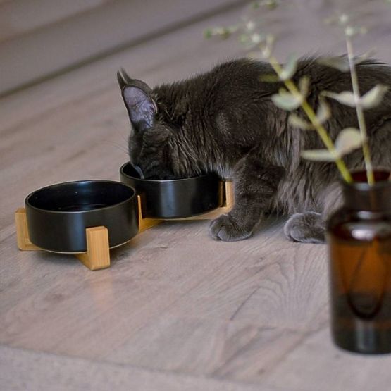 CIOTOLA PER CIBO E ACQUA PER ANIMALI NERA 331579