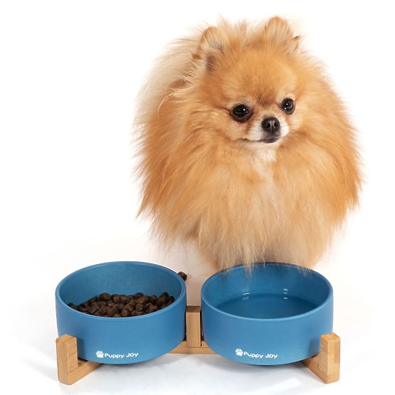 Ciotole in Ceramica per Cani o Gatti Blu PJ-080