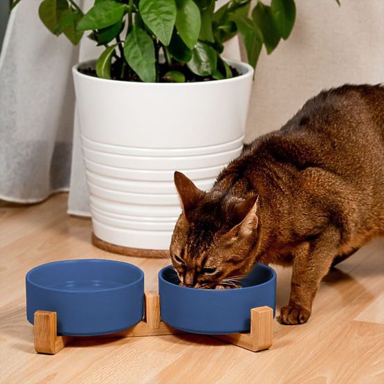 Ciotole in Ceramica per Cani o Gatti Blu PJ-080