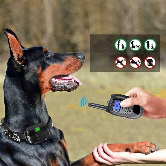 COLLARE ELETTRICO PER ADDESTRAMENTO CANI pj-098