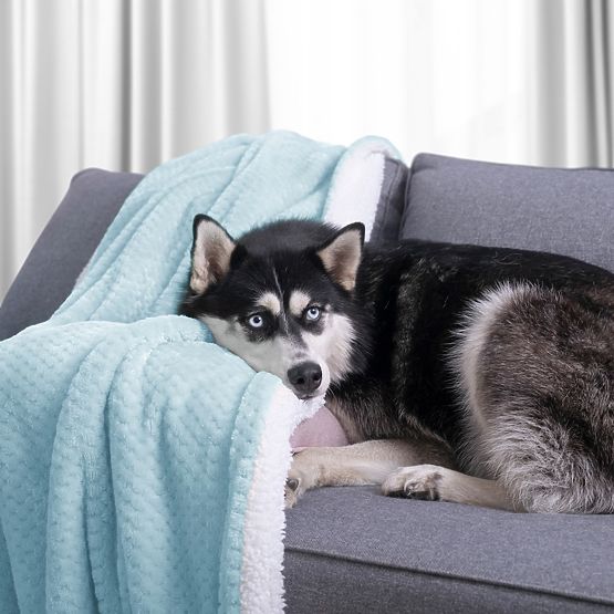 Coperta SHLEEPY colore azzurro chiaro motivo jacquard stile classico 70x150