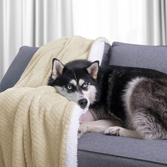 Coperta SHLEEPY colore beige con motivo jacquard stile classico 220x240