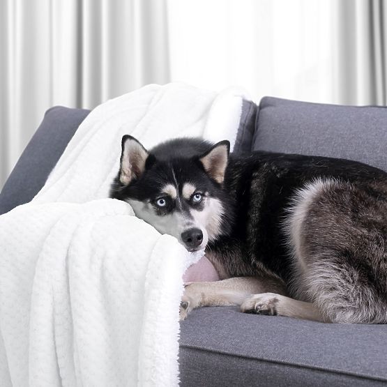 Coperta SHLEEPY colore bianco con motivo jacquard stile classico 130x180