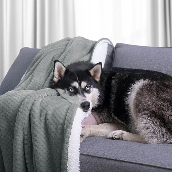 Coperta SHLEEPY colore grigio con motivo jacquard stile classico 220x240