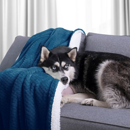 Coperta SHLEEPY colore indaco jacquard stile classico 130x180