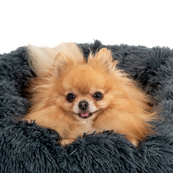 CUCCIA PER CANI E GATTI PJ-004 GRIGIO SCURO L