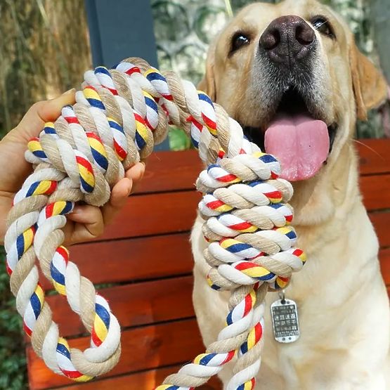 Giocattolo da tiro con nodi WALLY 60 cm