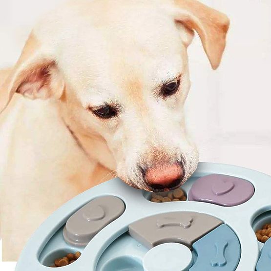 Gioco Puzzle giocattolo per cani e gatti Pluto marino