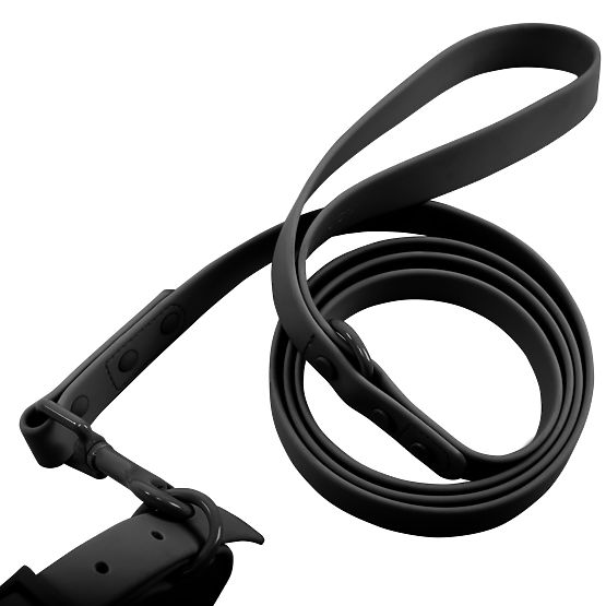 Guinzaglio e collare per cane PJ-071 nero M