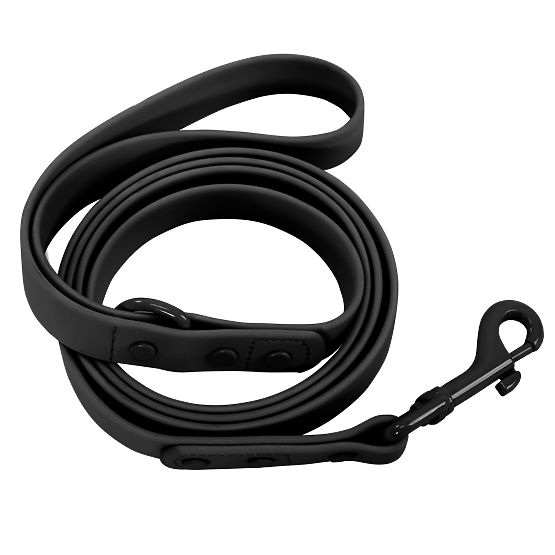 Guinzaglio e collare per cane PJ-071 nero M