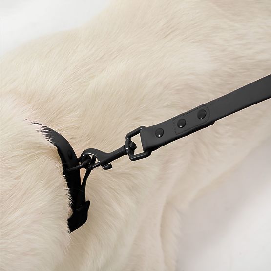 Guinzaglio e collare per cane PJ-075 nero L