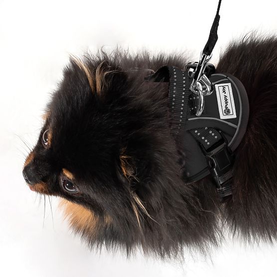 Guinzaglio e imbracatura per cane PJ-047 nero XS