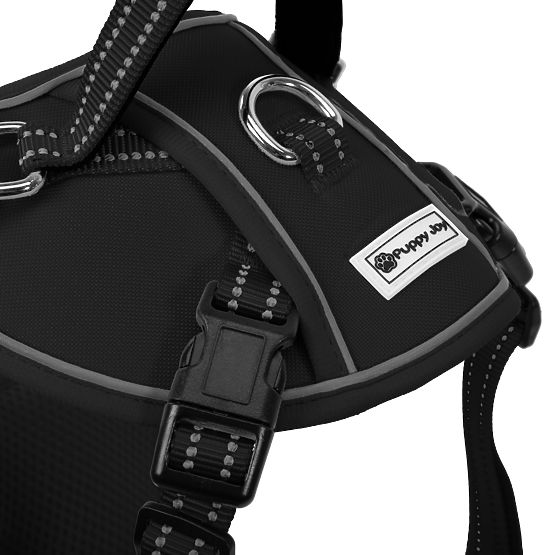 Guinzaglio e imbracatura per cane PJ-047 nero XS