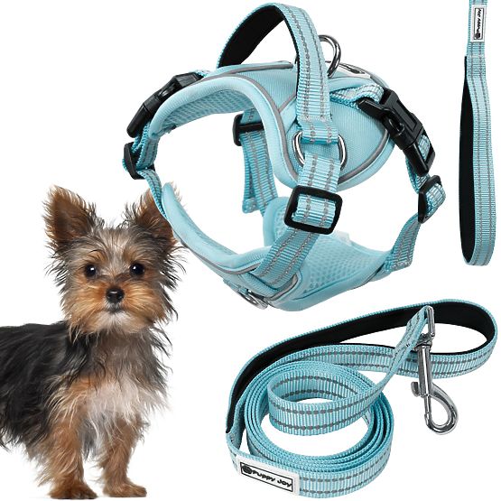 Guinzaglio e imbracatura per cane PJ-050 blu XS