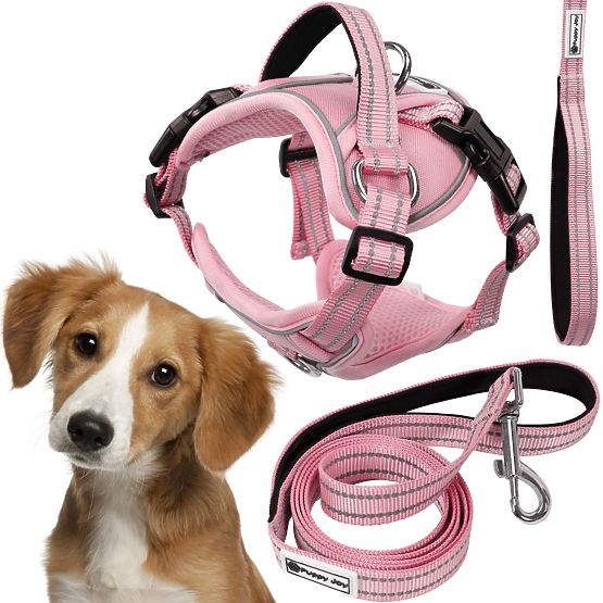 Guinzaglio e imbracatura per cane PJ-056 rosa M