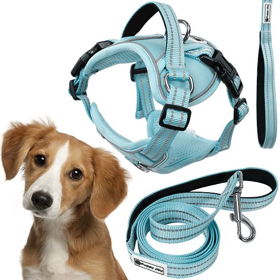 Guinzaglio e imbracatura per cane PJ-058 blu M