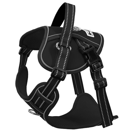 Guinzaglio e imbracatura per cane PJ-059 nero L