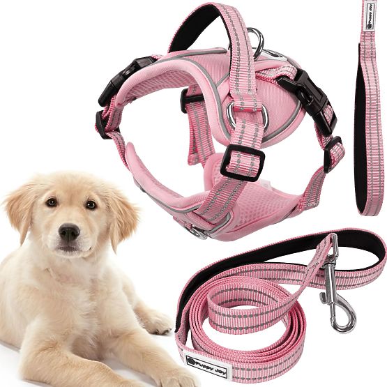 Guinzaglio e imbracatura per cane PJ-060 rosa L