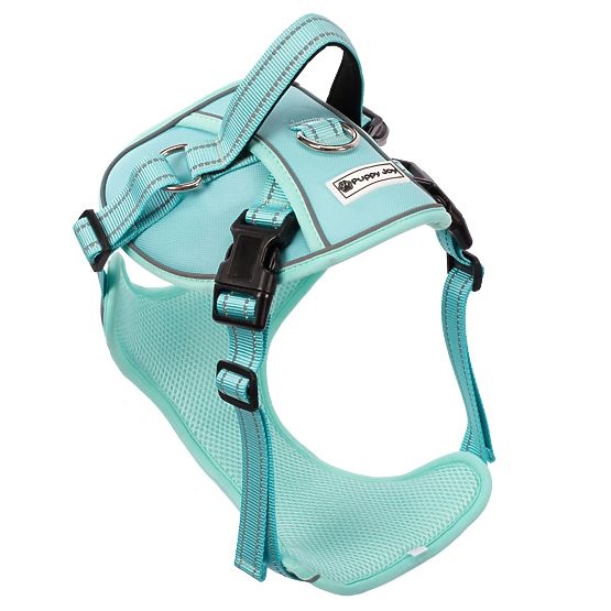 Guinzaglio e imbracatura per cane PJ-061 verde L
