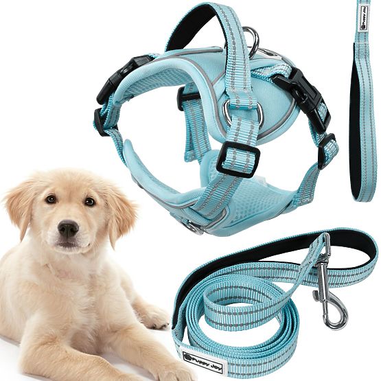 Guinzaglio e imbracatura per cane PJ-062 blu L
