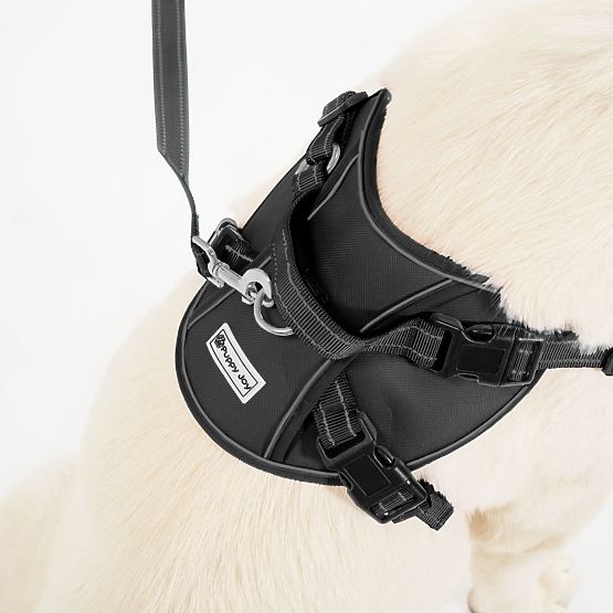 Guinzaglio e imbracatura per cane PJ-063 nero XL