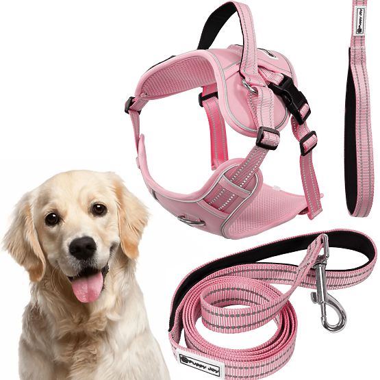Guinzaglio e imbracatura per cane PJ-064 rosa XL