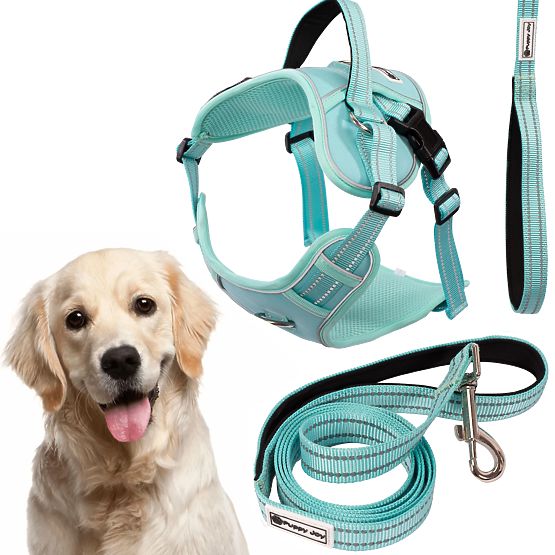 Guinzaglio e imbracatura per cane PJ-065 verde XL