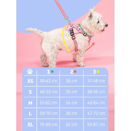 Guinzaglio e imbracatura per cane PJ-065 verde XL