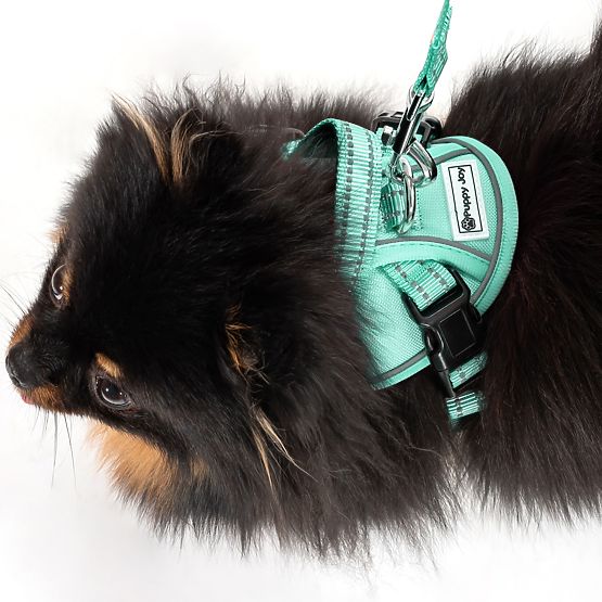 Guinzaglio e pettorina per cane PJ-049 verde XS