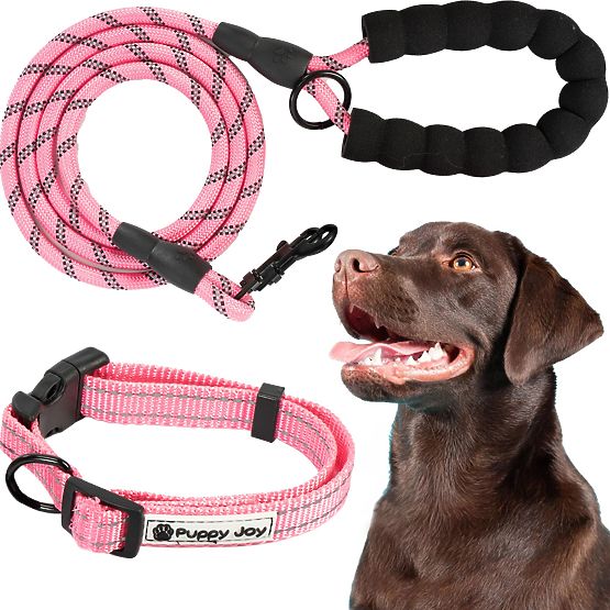 Guinzaglio riflettente e collare per cane PJ-036 Rosa