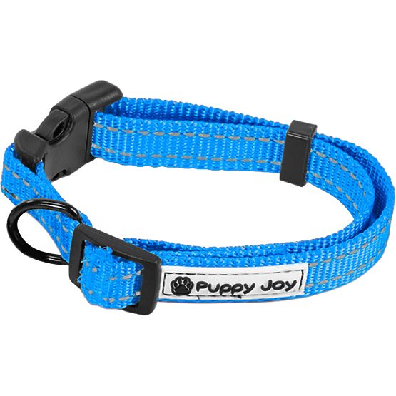 Guinzaglio riflettente e collare per cane PJ-037 blu