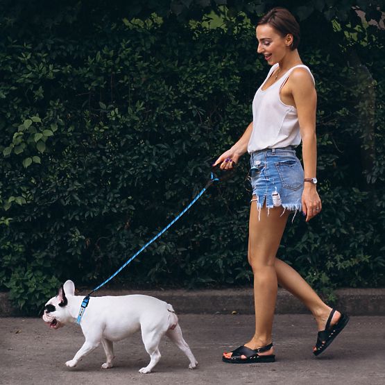 Guinzaglio riflettente e collare per cane PJ-037 blu