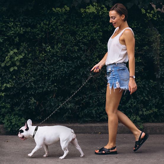 Guinzaglio riflettente e collare per cane PJ-091 nero