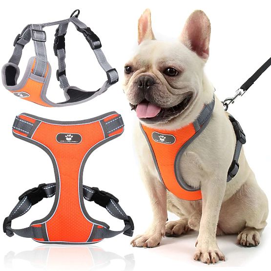 Imbracatura da addestramento per cani ASTRO arancione taglia M