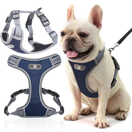 Imbracatura da addestramento per cani ASTRO blu taglia S