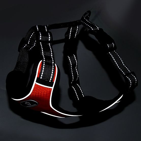 Imbracatura da passeggio per cani ASTRO arancione taglia XL