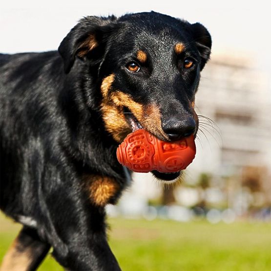 Palla da masticare rossa per cani PJ-046