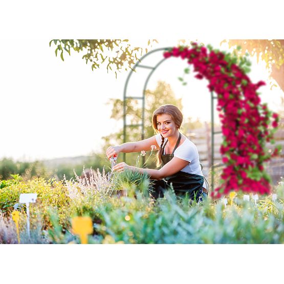 Pergola ad arco in metallo nera 240 cm