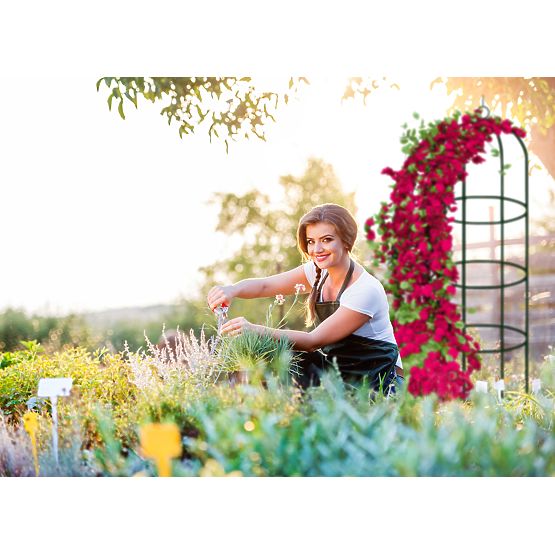 Pergola in metallo palo verde scuro 190 cm